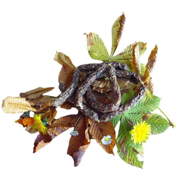 DOBY® KAUWÜRSTL VOM RIND 10 STK Kauartikel DOBY® KAUWÜRSTL VOM RIND 10 STK Kauartikel Hunde & Katzen Tiernahrung von Belcando und Leonardo