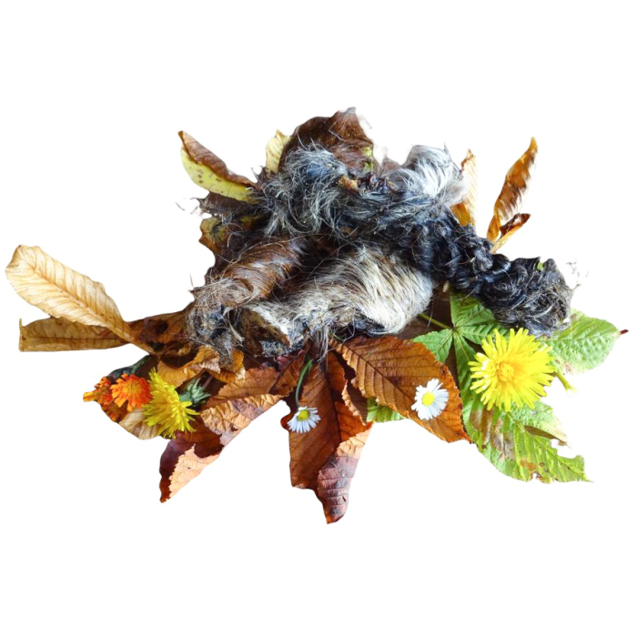 DOBY® PFERDEKOPFHAUT MIT FELL 200G Hundefutter & Zubehör DOBY® PFERDEKOPFHAUT MIT FELL 200G Hundefutter & Zubehör Hunde & Katzen Tiernahrung von Belcando und Leonardo