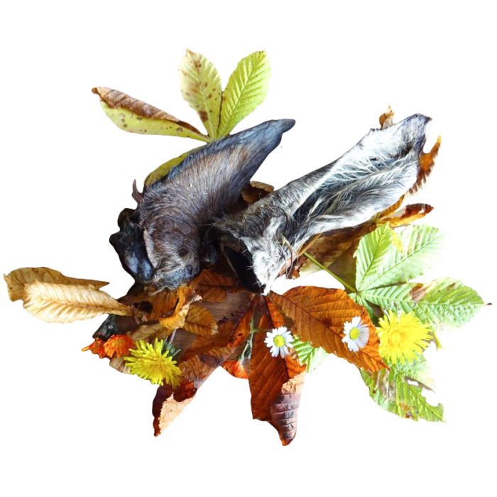 DOBY® PFERDELAUSCHER 3 STK Hundefutter & Zubehör DOBY® PFERDELAUSCHER 3 STK Hundefutter & Zubehör Hunde & Katzen Tiernahrung von Belcando und Leonardo