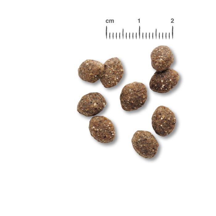 BELCANDO® MIX IT GF Belcando Getreide Frei BELCANDO® MIX IT GF Belcando Getreide Frei Hunde & Katzen Tiernahrung von Belcando und Leonardo