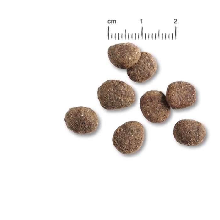 BELCANDO® FINEST CROC Trockenfutter BELCANDO® FINEST CROC Trockenfutter Hunde & Katzen Tiernahrung von Belcando und Leonardo